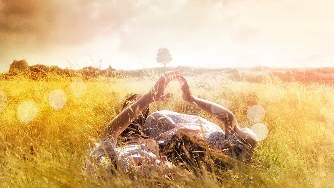 The History of Love