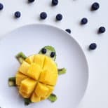 Mangoturtle