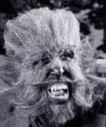 dnavratil