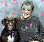 ProudPittieMom