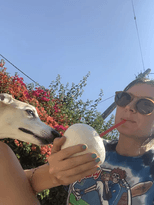 DogsLoveMe