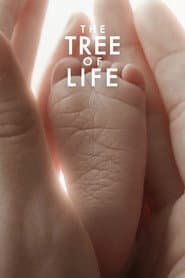 The Tree of Life